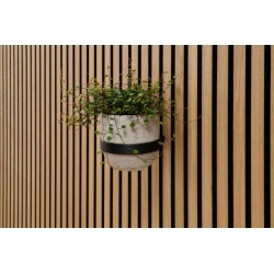 Anneau pour pot de fleurs Ter-Hürne