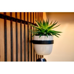 Anneau pour pot de fleurs Ter-Hürne